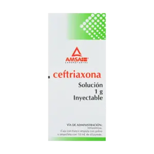 CEFTRIAXONA SOL. INY. IV. C/1 FCO. AMP. 1 G/10 ML. AMSA